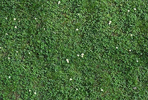 %_tempFileNamewiese%