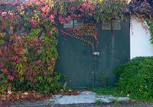 %_tempFileNamewilder%20wein%20und%20eisentor%