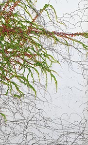 %_tempFileNamewilder%20wein%