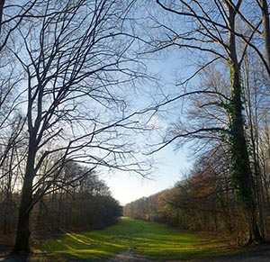 %_tempFileNamewinterpark%