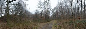 %_tempFileNamewinterwald%20trist%