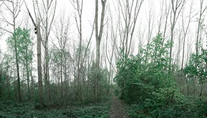 %_tempFileNameworringer_bruch_2%