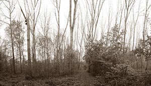 %_tempFileNameworringer_bruch_3%