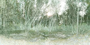 %_tempFileNameworringer_bruch_A%