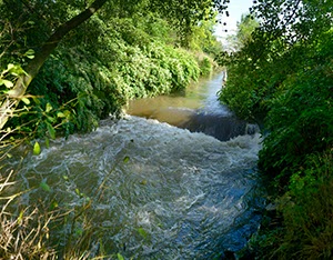 %_tempFileNamewupper_01%