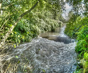 %_tempFileNamewupper_tone_02%