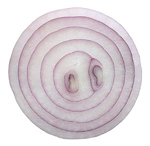 %_tempFileNamezwiebel%