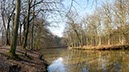 %_tempFileNameStever%20Vorfruehling%20Wald%20am%20Fluss%