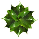 %_tempFileNameblattkreis%