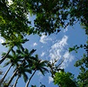 %_tempFileNamecuba_sky%