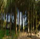 %_tempFileNamehilbringse%20wald%2013%