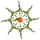 %_tempFileNamekaleido%20mandarin%